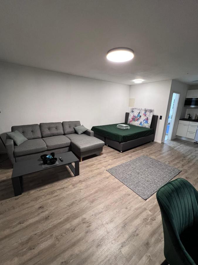 Business Apartment Karlsruhe Ngoại thất bức ảnh